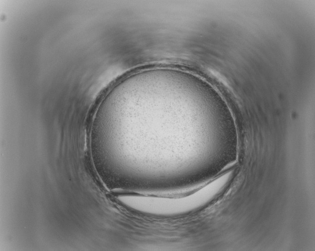 X0000087391267200705042001