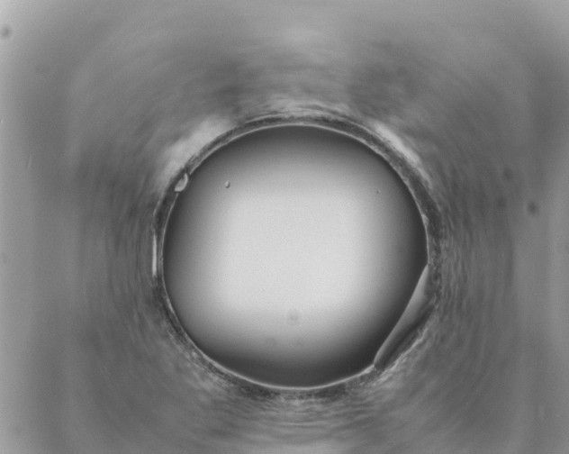 X0000087391269200705042001