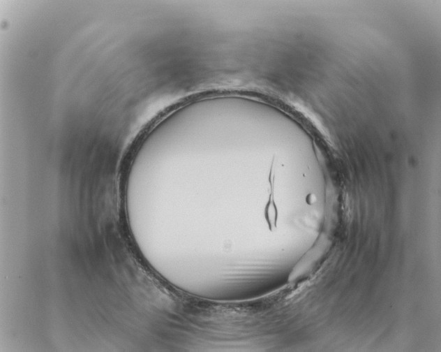 X0000087391270200705042001