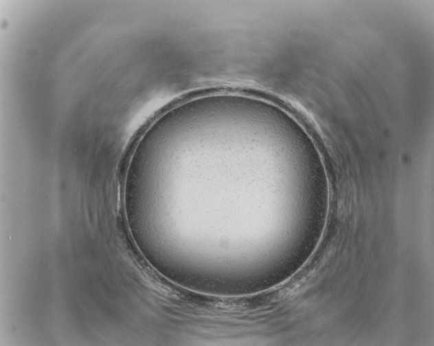 X0000087391271200705042001