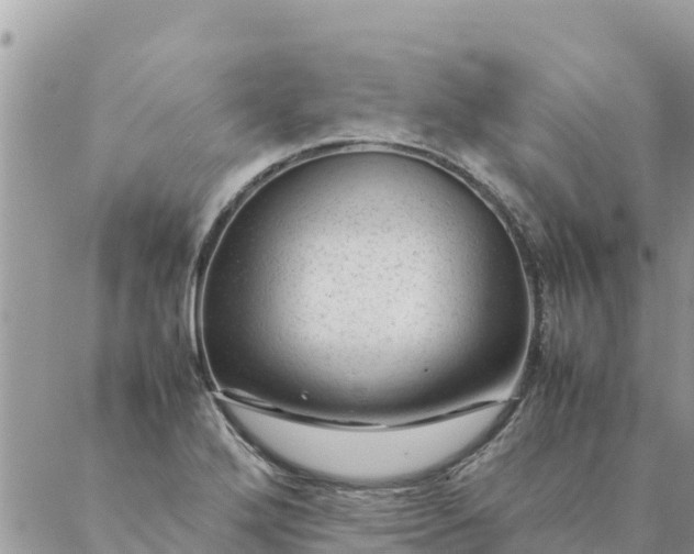 X0000087391272200705042001