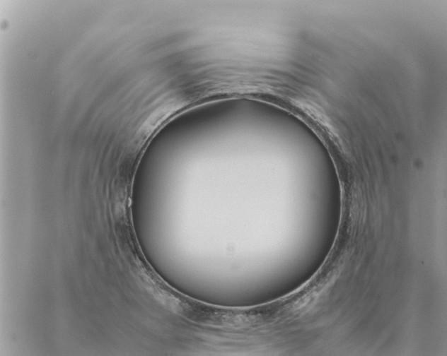 X0000087391273200705042001