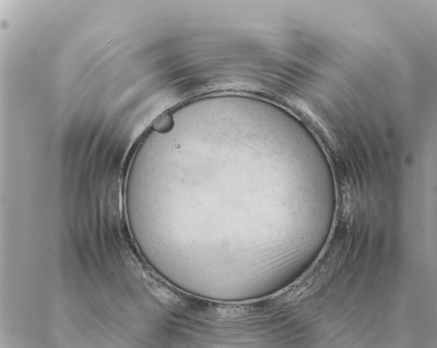 X0000087391274200705042001