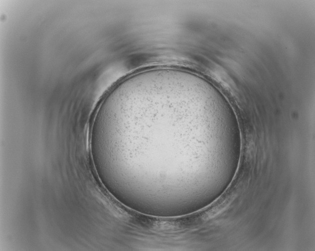 X0000087391275200705042001