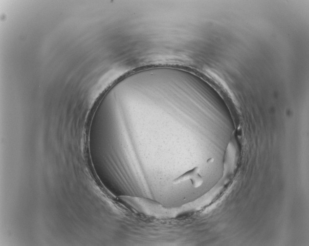 X0000087391277200705042001