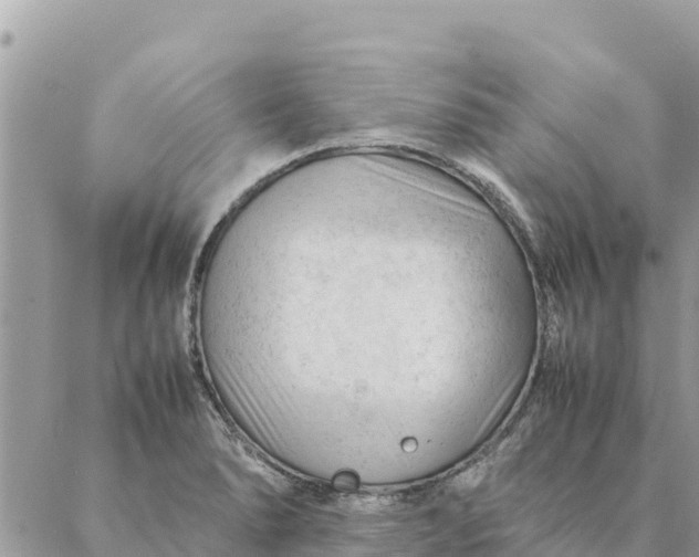 X0000087391278200705042001