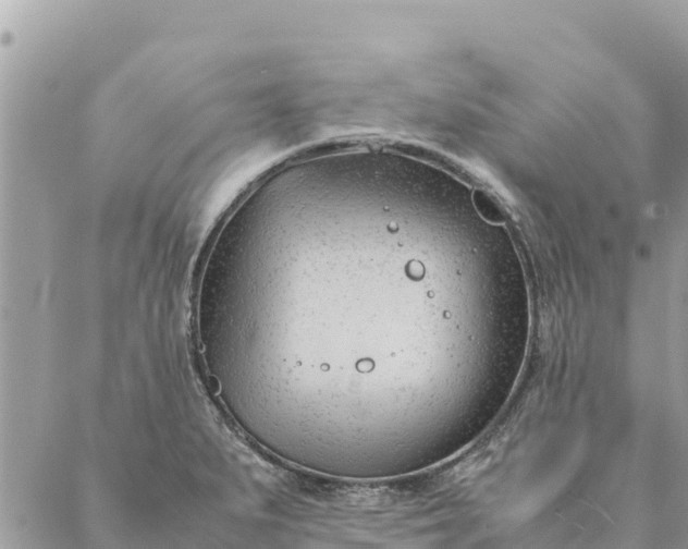 X0000087391279200705042001