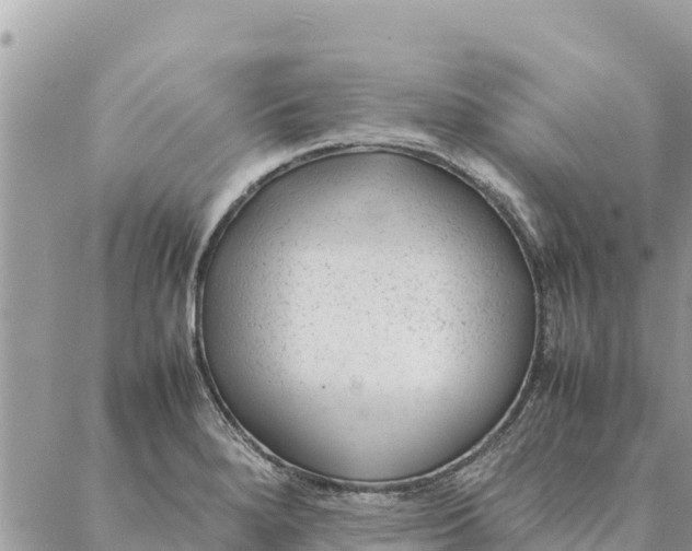 X0000087391280200705042001