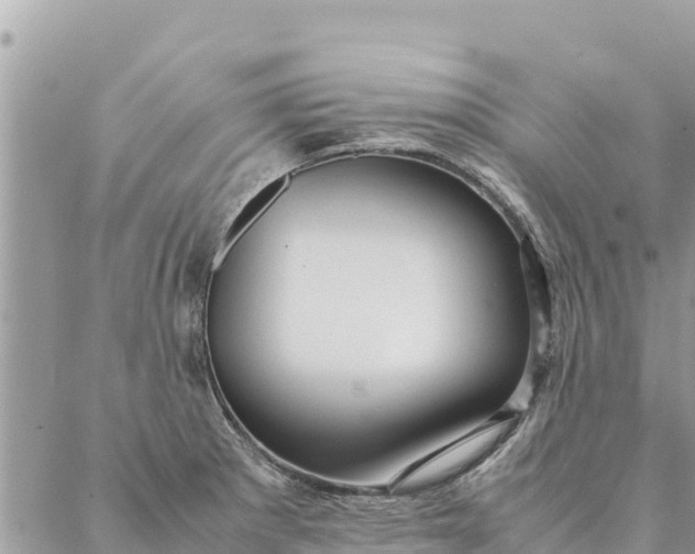 X0000087391281200705042001