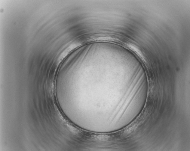 X0000087391282200705042001