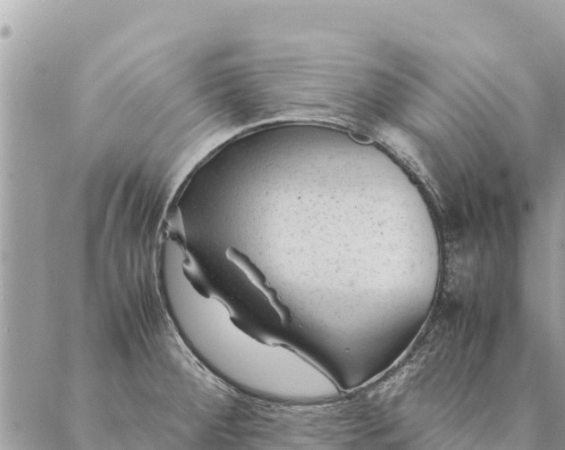 X0000087391284200705042001