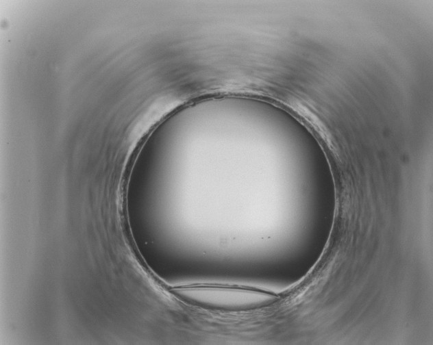 X0000087391285200705042001