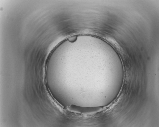 X0000087391286200705042001