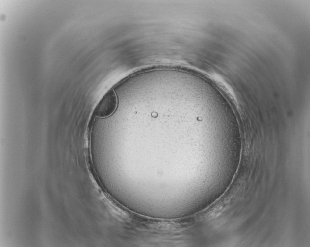 X0000087391287200705042001