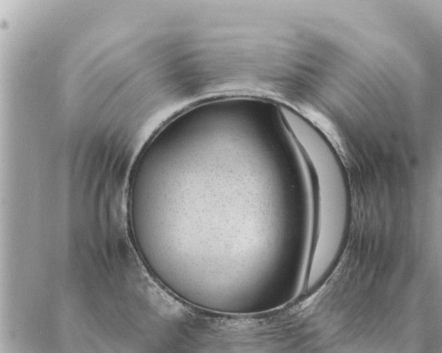 X0000087391288200705042001