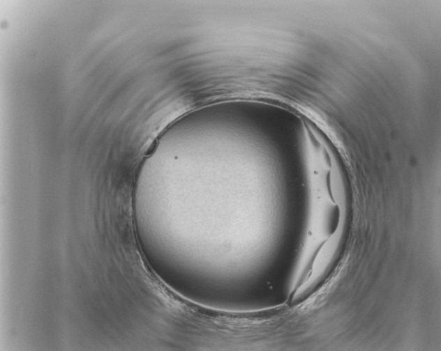 X0000087391289200705042001