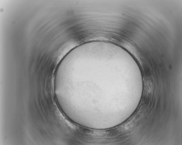 X0000087391290200705042001