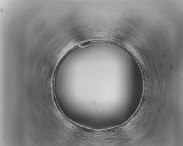 X0000087391291200705042001