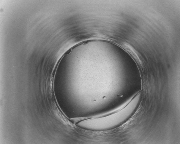 X0000087391292200705042001