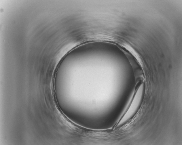 X0000087391293200705042001