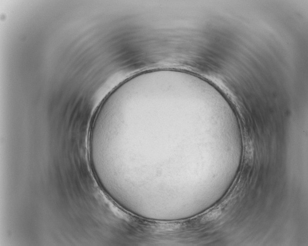 X0000087391294200705042001