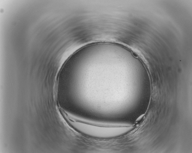 X0000087391295200705042001