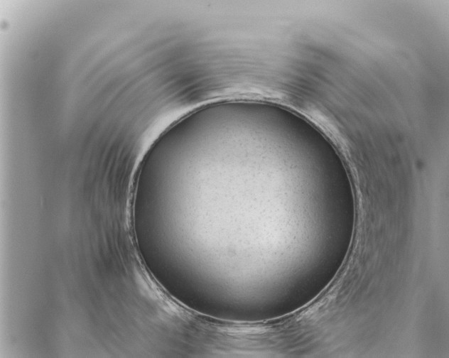 X0000087391296200705042001