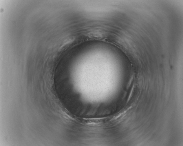 X0000087391297200705042000