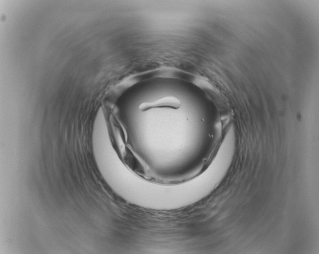 X0000087391298200705042000