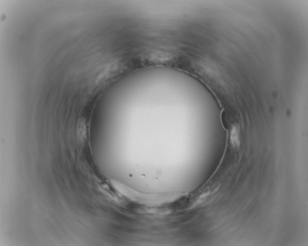 X0000087391299200705042000