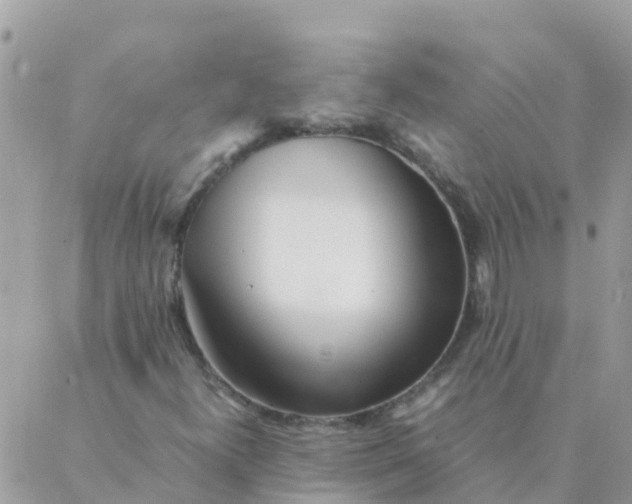 X0000087391300200705042000