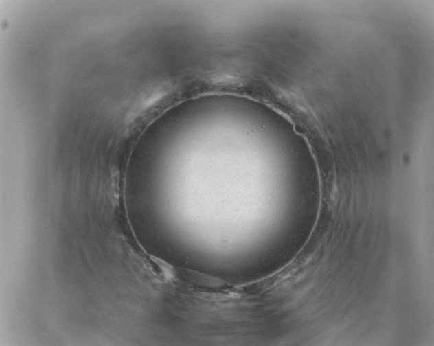 X0000087391301200705042000