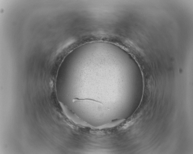 X0000087391302200705042000