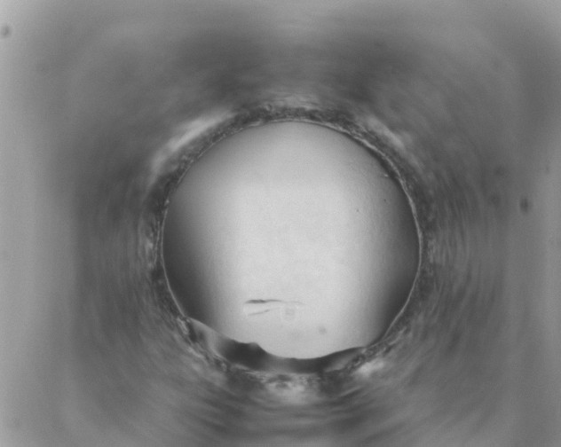 X0000087391303200705042000