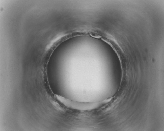 X0000087391304200705042000