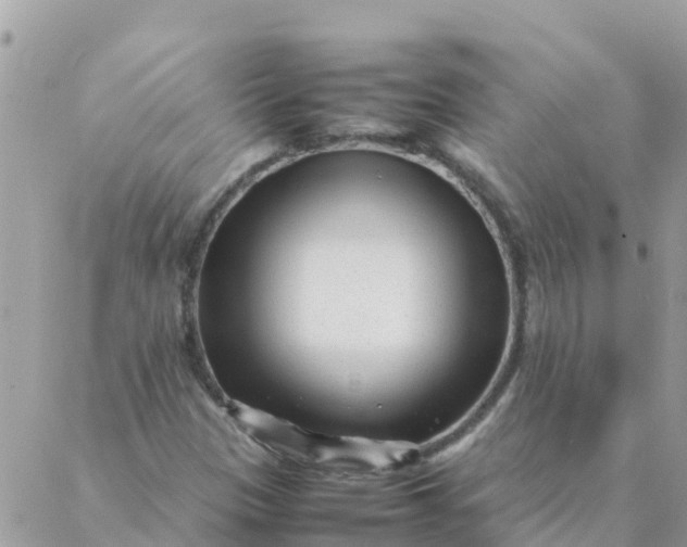 X0000087391305200705042000