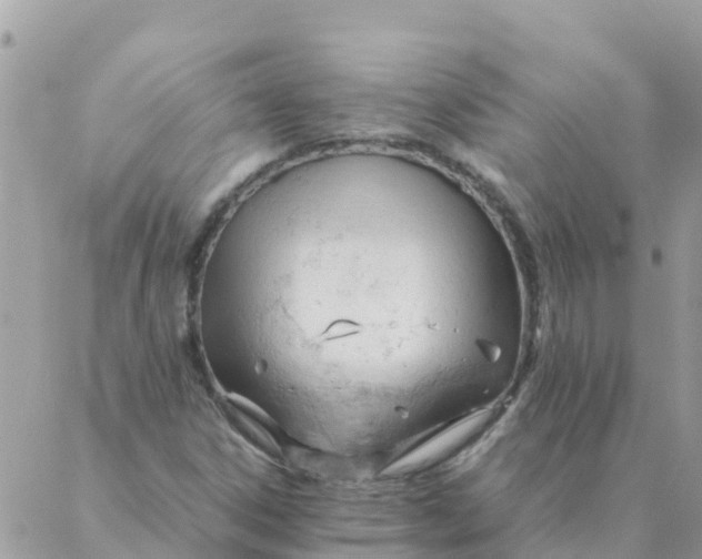 X0000087391306200705042000