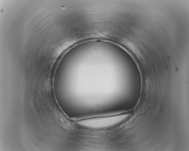 X0000087391308200705042000