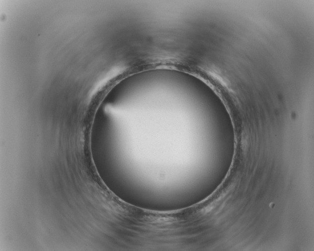 X0000087391309200705042000