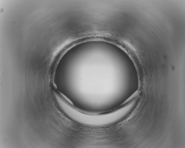 X0000087391310200705042000