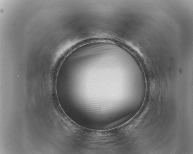 X0000087391311200705042000