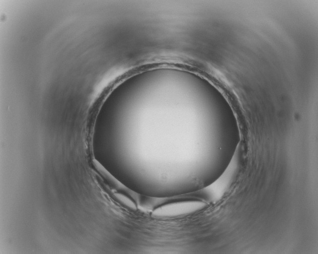 X0000087391312200705042000