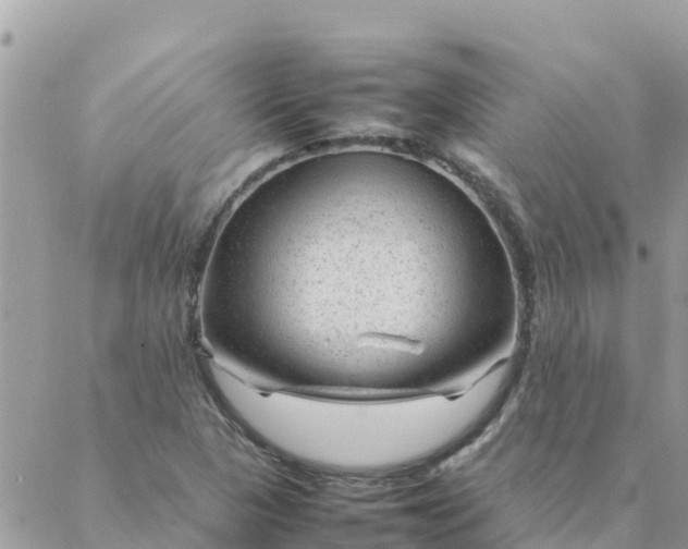 X0000087391313200705042000