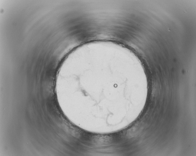 X0000087391314200705042000