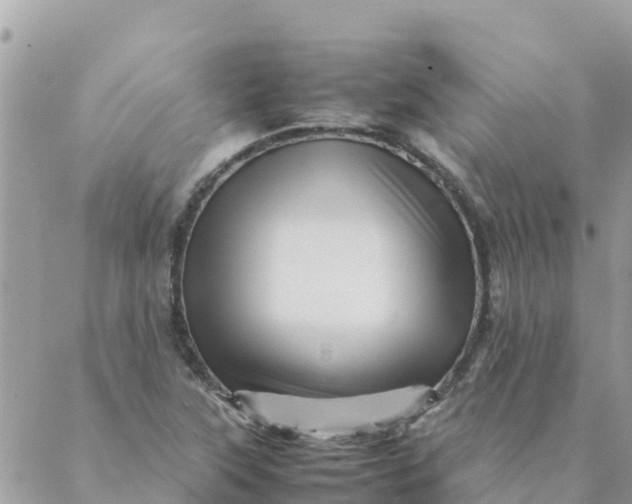 X0000087391315200705042000