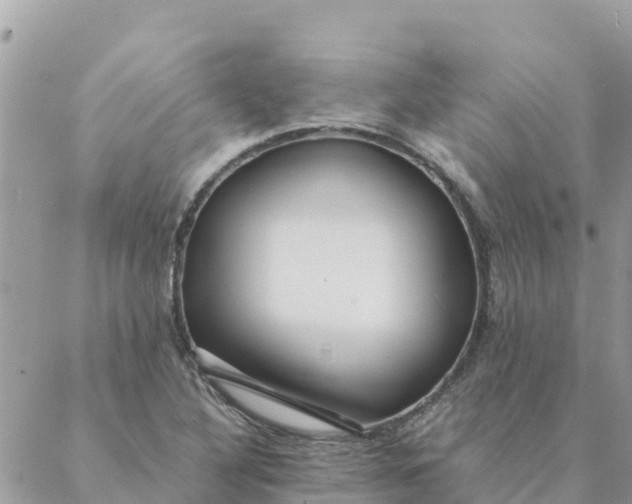 X0000087391316200705042000