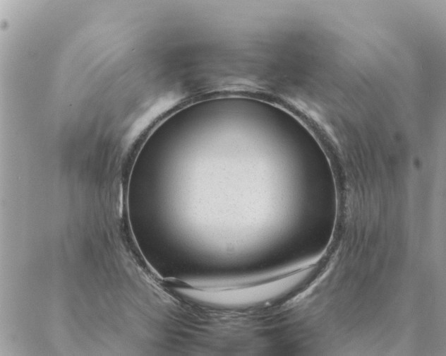 X0000087391317200705042000