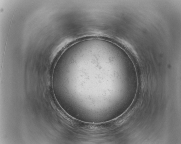 X0000087391318200705042000