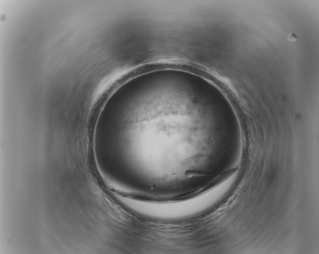 X0000087391319200705042000