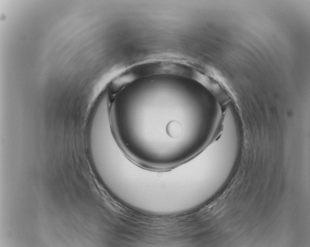 X0000087391320200705042000